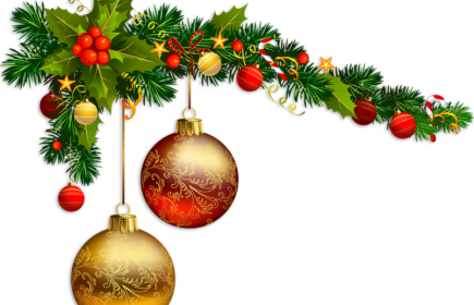 🎄 Buon Natale e felice anno nuovo ⭐